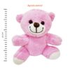 Pembe Peluş Ayıcık 25cm